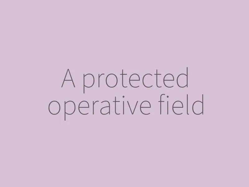 The protected field